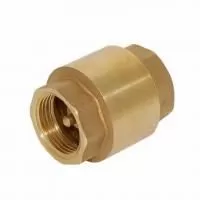 Обратный клапан IBO 2"