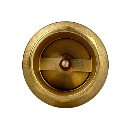 Обратный клапан MAXPUMP ¾"