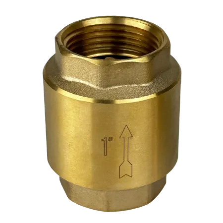 Обратный клапан MAXPUMP 1"