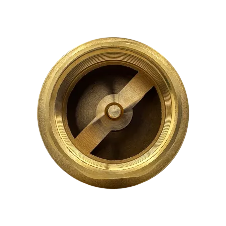 Обратный клапан MAXPUMP 1¼"