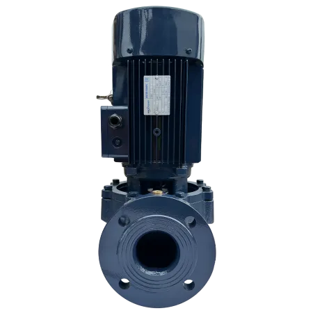 Циркуляционный насос MAXPUMP IL 65-310/30 Циркуляционный насос MAXPUMP IL 65-310/30