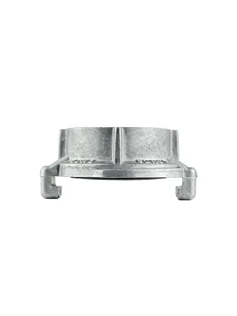 Головка муфтовая ЦВЕТЛИТ ГМ-50-1,6 ПМ УХЛ1