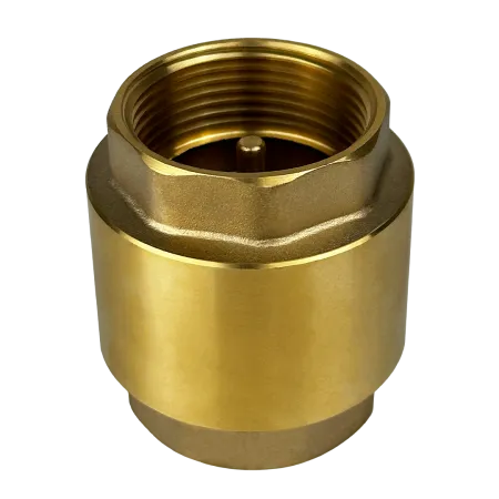 Обратный клапан MAXPUMP 2"