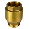 Обратный клапан MAXPUMP 1" НР - ВН