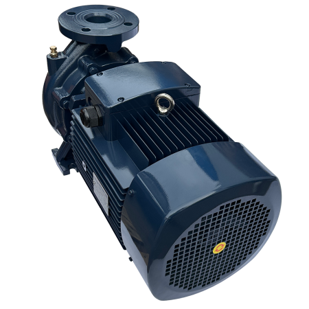 Циркуляционный насос MAXPUMP F 40-200/55
